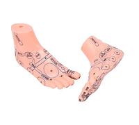 Modèle d'acupuncture du pied, modèle de réflexologie plantaire bon outil d'enseignement PVC pour hôpital pour école pour pour famille