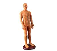 Modèle d'acupuncture humaine de 52 cm avec points d'acuppoints chinois pour l'enseignement de l'anatomie masculine et féminine. Guide d'étude