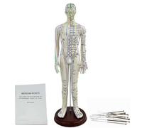 Modèle d'acupuncture humaine - Mannequin grandeur nature de 53,3 cm avec instructions de localisation du point d'acupuncture pour la pratique de l'insertion d'aiguilles
