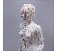Modèle d'acupuncture - Modèle d'acupuncture féminin du Corps Humain avec des Points méridiens - 48cm Personnes Meridian Modèle Acupoint - pour Meridian Massage Leçons