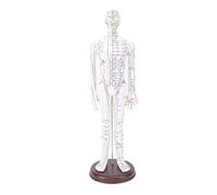 Modèle d'acupuncture, modèle de point d'acupuncture humain 52 cm 20,47 pouces, corps complet en PVC, identification claire des professionnels avec base pour l'enseignement des (Femelle)