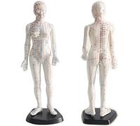Modèle d'acupuncture, poupée femme de 48 cm avec méridien détaillé et 361 points de pression, marquages gravés clairs, modèle d'entraînement en PVC pour l'acupuncture et le massage