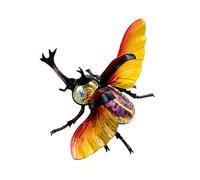 Modèle d'anatomie 4D Fée Anatomie Anatomie Insecte Modèle d'organes animaux, détachable 21 pièces Modèle d'anatomie d'organe pour les jouets éducatifs scientifiques 34 * 27 * 12,6 cm