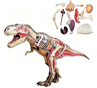 Modèle d'anatomie de dinosaure 4D, découvrez le kit d'anatomie T-Rex, 39 pièces détachables, for l'affichage d'étude en classe, modèle médical d'enseignement.