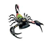 Modèle d'anatomie de scorpion 4D, modèle d'enseignement animal amovible en 29 parties, modèle d'anatomie d'organe for l'enseignement des études scientifiques.