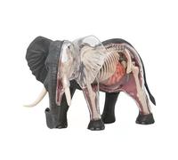 Modèle d'anatomie d'éléphant 4D, 27 organes détachables et spécimen de squelette - Modèle d'anatomie animale for l'enseignement vétérinaire, les cours de biologie et la recherche