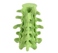 Modèle d'anatomie des vertèbres lombaires à 5 sections avec pièces amovibles pour démonstration en salle de ntraînement physico-thérapeutique Outil d'enseignement clinique
