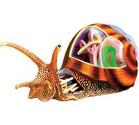 Modèle d'anatomie d'escargot, 32 parties détachables et structure des organes, puzzle interactif à assembler pour l'enseignement de la biologie