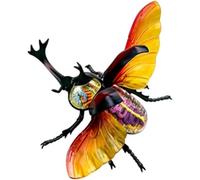 Modèle d'anatomie d'organe de coléoptère Modèle d'anatomie d'organe Modèle éducatif Modèle Anatomique de coléoptère Hercule 4D Modèles anatomiques Groupe de squelettes d'organes internes Modèle