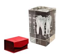 Modèle d'anatomie d'organe humain en cristal, presse-papier scientifique éducatif, cadeau 1 ensemble(Tooth)