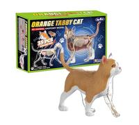 Modèle d'anatomie du chat | Cube d'étude d'anatomie vétérinaire 4D | Outil d'apprentissage détaillé de la structure du corps animal pour les étudiants, les vétérinaires, les enseignants, les