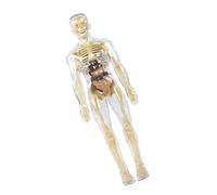 Modèle d'anatomie du corps humain éducatif - Modèle anatomique transparent de squelette humain avec organes détachables - Outil d'enseignement de la biologie - Modèle d'anatomie humaine - Outil