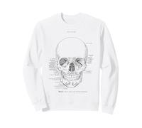 Modèle d'anatomie du crâne Le Tableau Anatomique du crâne Humain Sweatshirt