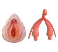 Modèle d'anatomie du système reproducteur externe gynécologique féminin, mannequin de combinaison de clitoris vulve for l'affichage d'étude d'enseignement en e sciences