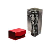 Modèle d'anatomie en cristal d'organe humain - cerveau, cœur, poumon, squelette, dent - K9 Glass Science, presse-papier éducatif(Skeleton)