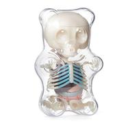Modèle D'anatomie Gummi Ours Squelette Anime Assemblage Figurine Cadeaux Science Modèle Animal