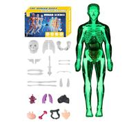 Modèle d'anatomie humaine 3D - 3,94 pouces, kit d'assemblage de structure de carrosserie pour l'apprentissage et l'éducation à la maison, les modèles anatomiques avec des pièces détachables, les jouet