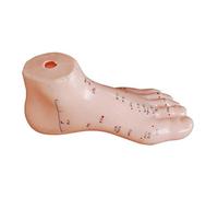Modèle d'anatomie humaine de pied pour acupuncture, grand modèle en PVC brillant avec points marqués, manuel inclus