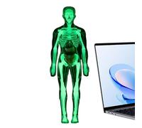 Modèle d'Anatomie Humaine - Organes Fluorescents Biologie | Jouets d'Anatomie pour | pour Garçons Et Filles 8+ Étude Biologie Physiologie Halloween