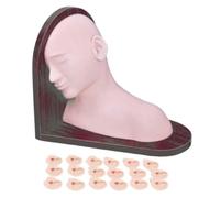 Modèle d'Anatomie Humaine pour Formation à l'Examen de l'Oreille