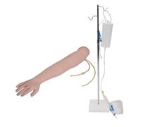 Modèle d'Anatomie Humaine pour Formation aux Injections