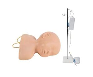 Modèle d'Anatomie Humaine pour Formation Intraveineuse sur Cuir Chevelu