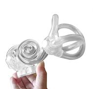 Modèle d'anatomie l'oreille humaine enseignement cochléaire semi-circulaire