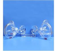 Modèle d'anatomie l'oreille humaine enseignement cochléaire semi-circulaire
