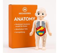 Modèle d'anatomie Montessori Enfants Jouets DIY Jeu éducatif FR.