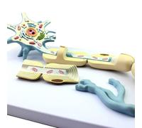 Modèle d'anatomie neuronale, grossissement 2500x, modèle pédagogique d'anatomie biologique, outil d'enseignement en neurologie cérébrale A