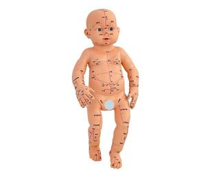 Modèle d'anatomie réaliste pour bébé - Modèle d'entraînement de massage pour bébé - Pour la pratique du massage et l'enseignement des points de pression