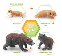 Modèle D'animal Mimique En Gros Jouets Éducatifs Montessori Pour La Croissance Des Animaux Comme Poulet Canard Paon Papillon Tortue De Mer Grenouille Ensemble De Couple De Berwen Marron 336g