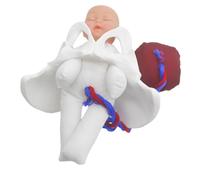 Modèle de Bassin Féminin pour Démonstration D’accouchement Fœtus | PVC et Tissu, Cordon Ombilical, Placenta, Nourrisson, Format Compact pour Enseignement Obstétrical en t Formation