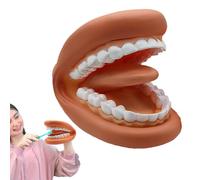 Modèle De Bouche Éducatif - 4,3 Pouces, Écran Compact, Outil D'étude Pratique, Structure En Vinyle Durable, Pièce Légère Et Transportable | Parfait Pour L’enseignement De L’hygiène Bucco-dentaire, For