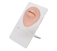 Modèle de bouche en silicone 3D simulé pour la pratique du perçage avec un affichage de labret de l'hôpital de stand acrylique (Couleur de peau moyenne)