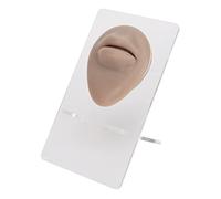 Modèle de bouche en silicone 3D simulé pour la pratique du perçage avec un affichage de labret de l'hôpital de stand acrylique (Teint profond)