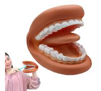 Modèle de bouche - PVC, modèle de dents souples et portables, conception portable | Aide à l'apprentissage pratique et interactive, jouet dentaire éducatif pour salle de ole maternelle, gard