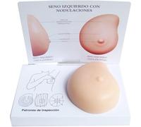 Modèle de cancer du sein Modèle pathologique du sein féminin Modèle d'examen du sein féminin Modèle d'auto-examen pathologique du sein