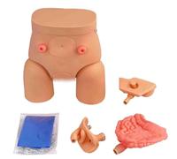 Modèle de cathétérisme urinaire, simulateur de pratique infirmière avec mannequins interchangeables (homme et femme), destiné à la formation médicale en soins infirmiers