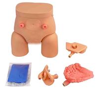 Modèle de cathétérisme urinaire, simulateur de soins infirmiers avec mannequins interchangeables (homme et femme), destiné à la formation en soins infirmiers