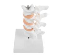 Modèle de Colonne Vertébrale en PVC Blanc 6,3 Pouces avec Support | Visualisation Anatomique Renforcée, Aide Pédagogique Médicale, Compression Vertébrale Ostéoporotique, Instruction