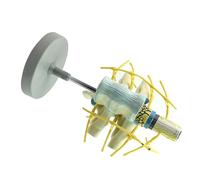 Modèle de colonne vertébrale humaine élargie avec nerfs de la moelle épinière Structure détaillée pour étude clinique en classe Modèle d'enseignement clinique Substance PVC