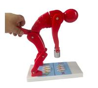 Modèle de colonne vertébrale pour l'haltérophilie, protection de la colonne lombaire et posture correcte, outil pédagogique de démonstration, pour l'enseignement médicales et l'anatomie(Red)