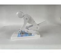 Modèle de colonne vertébrale pour l'haltérophilie, protection de la colonne lombaire et posture correcte, outil pédagogique de démonstration, pour l'enseignement médicales et l'anatomie(White)