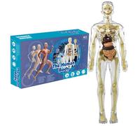 Modèle de corps humain pour enfants 11, 2 pouces Modèle d'anatomie humaine transparent amovible Organe réaliste et squelette Science Jouets éducatifs Cadeaux pour enfants âgés de 7 à 14 ans Jouets e