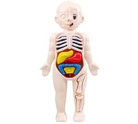 Modèle de Corps Humain pour Enfants 7x4 modèle d'anatomie Organes détachables Corps Humain ABS sans bavures Jouets scientifiques Anatomie éducative pour Les Enfants de Plus 3 Ans, décor extérieur