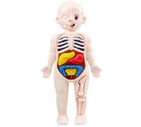 Modèle de Corps Humain pour Enfants, Kits de modèles Squelette Corps Humain 18 cm avec Organes détachables, kit Scientifique interactif Figurine d'anatomie ABS, Jouets éducatifs STEM pour