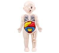 Modèle de Corps Humain pour Enfants, modèle d'anatomie 7x4, Organes détachables du Corps Humain, Jouets scientifiques ABS éducatifs
