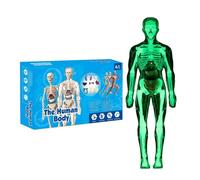 Modèle de corps humain : squelette interactive pour , modèle scientifique d'anatomie réaliste, figurines éducatives pour médecins et amateurs de science | Idéal pour les étudiants de pré
