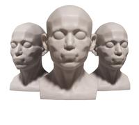 Modèle de crâne, Bloc Global Humain, Anatomie Humaine, Muscle du crâne pour l'école et Le Dessin d'artiste